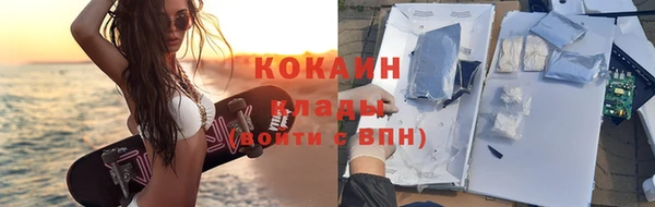 индика Армянск