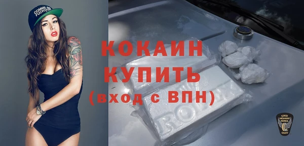 индика Армянск
