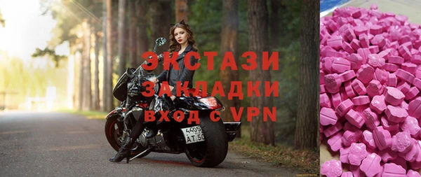 a pvp Новозыбков
