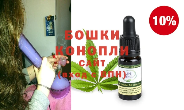 индика Армянск