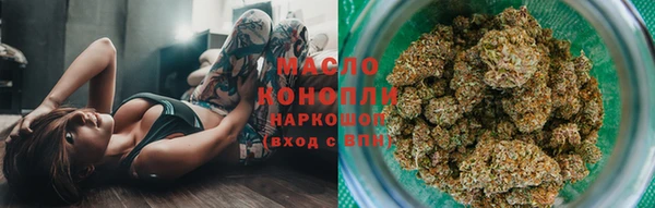 индика Армянск