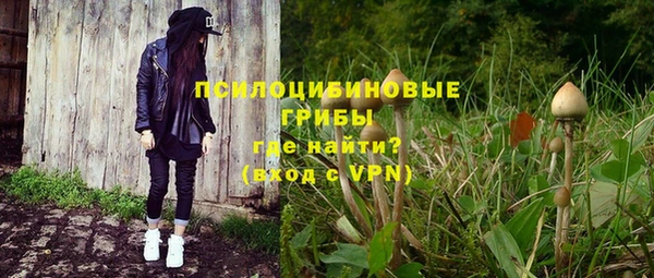 индика Армянск