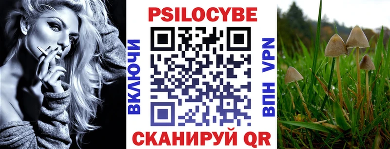 купить  цена  Мурино  Галлюциногенные грибы прущие грибы 